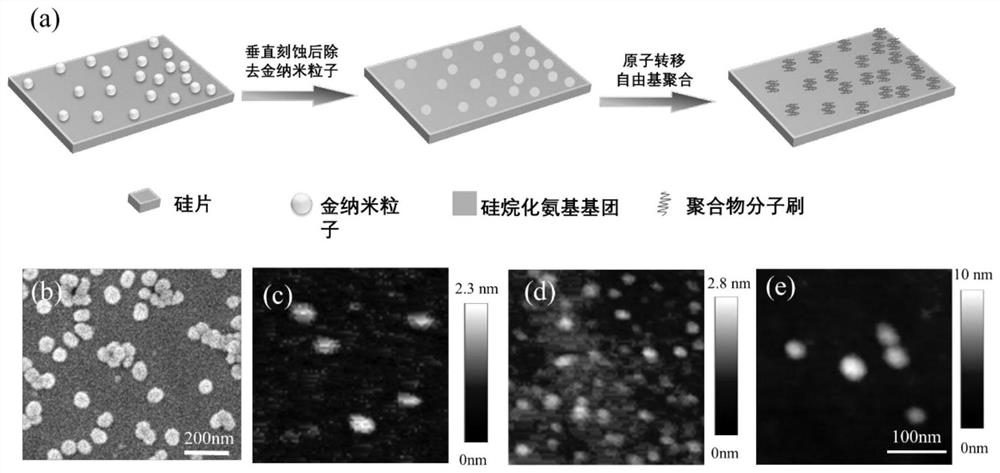 A method for preparing nano-sized polymer brush arrays using gold nanoparticles