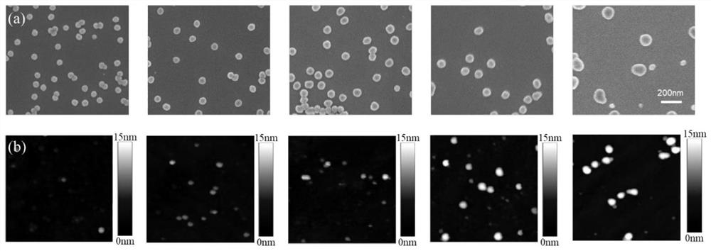 A method for preparing nano-sized polymer brush arrays using gold nanoparticles