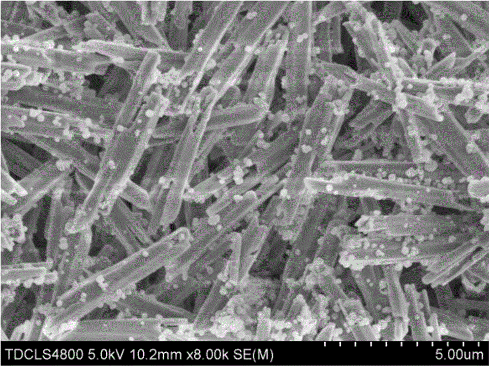 TiO2/NaYF4 composite material and preparation method thereof