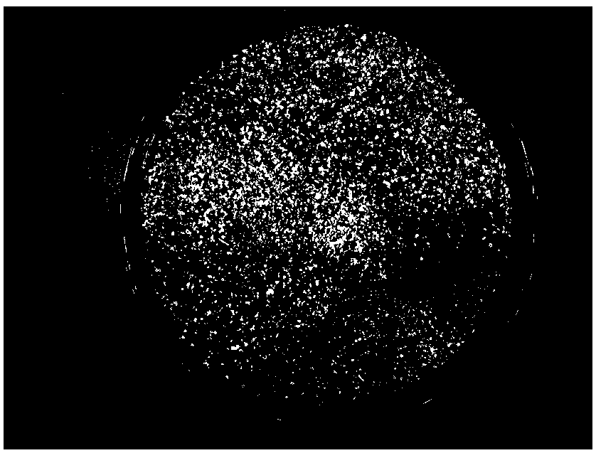 Soil anticorrosive fertilizer-conservation preparation and preparation method thereof