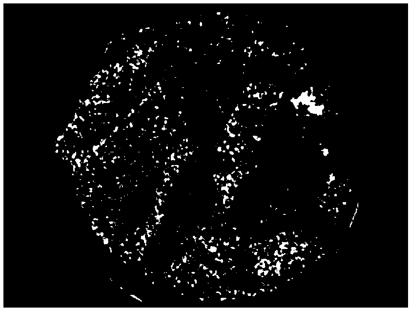 Soil anticorrosive fertilizer-conservation preparation and preparation method thereof