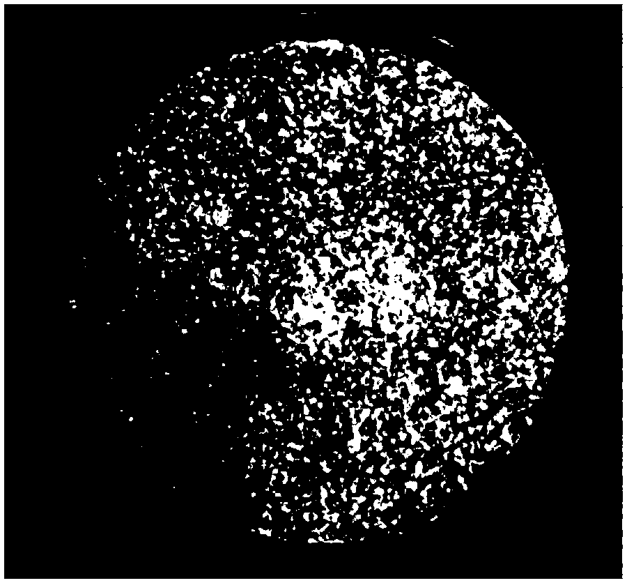 Soil anticorrosive fertilizer-conservation preparation and preparation method thereof