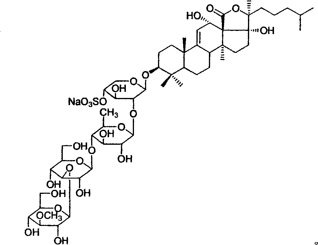 Use of saponins compound echinoside A in sea pumpkin in preparing tumor topoisomerase II inhibitor