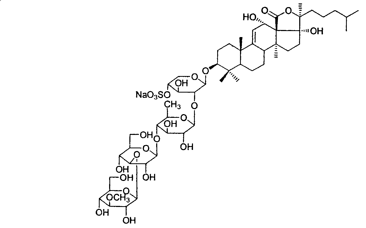 Use of saponins compound echinoside A in sea pumpkin in preparing tumor topoisomerase II inhibitor