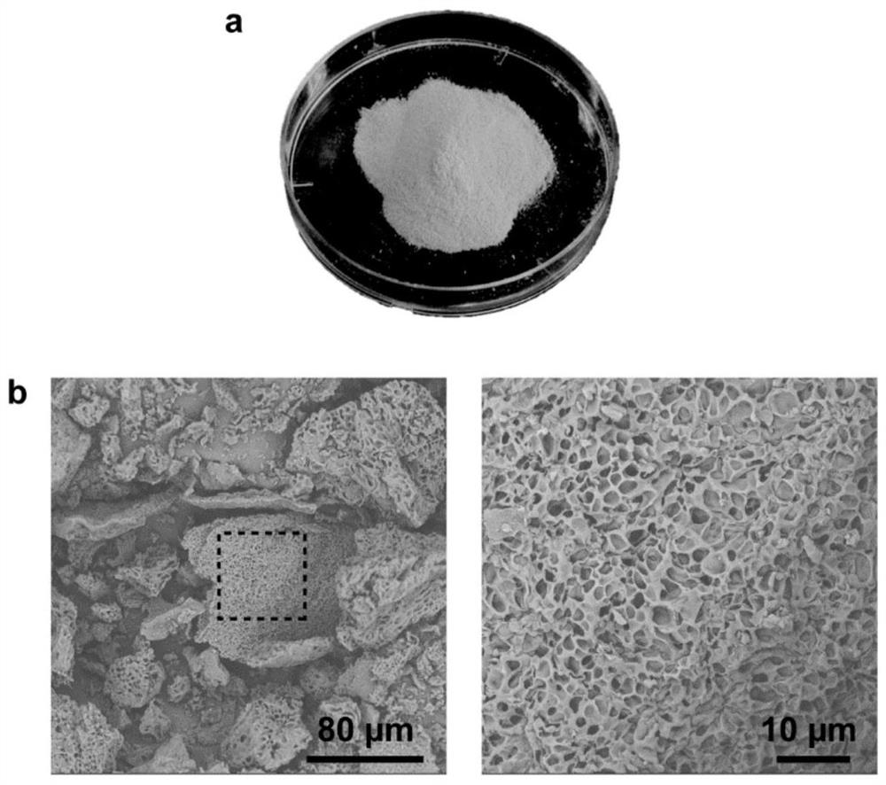 A kind of spraying dry powder gel dressing and preparation method thereof