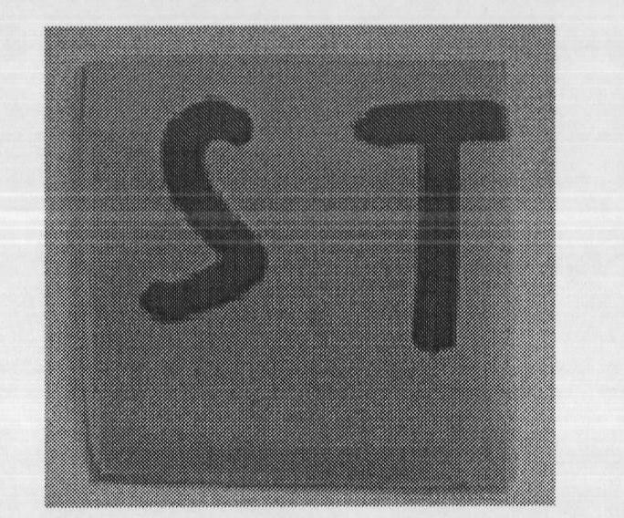 Graphite alkenyl conductive material and preparation method thereof