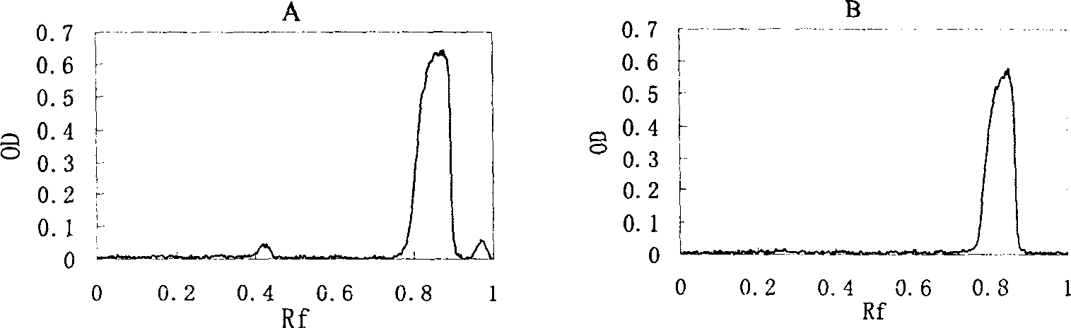 Blood substitute prepared by using hematoglobin-human seralbumin conjugate and its preparation method