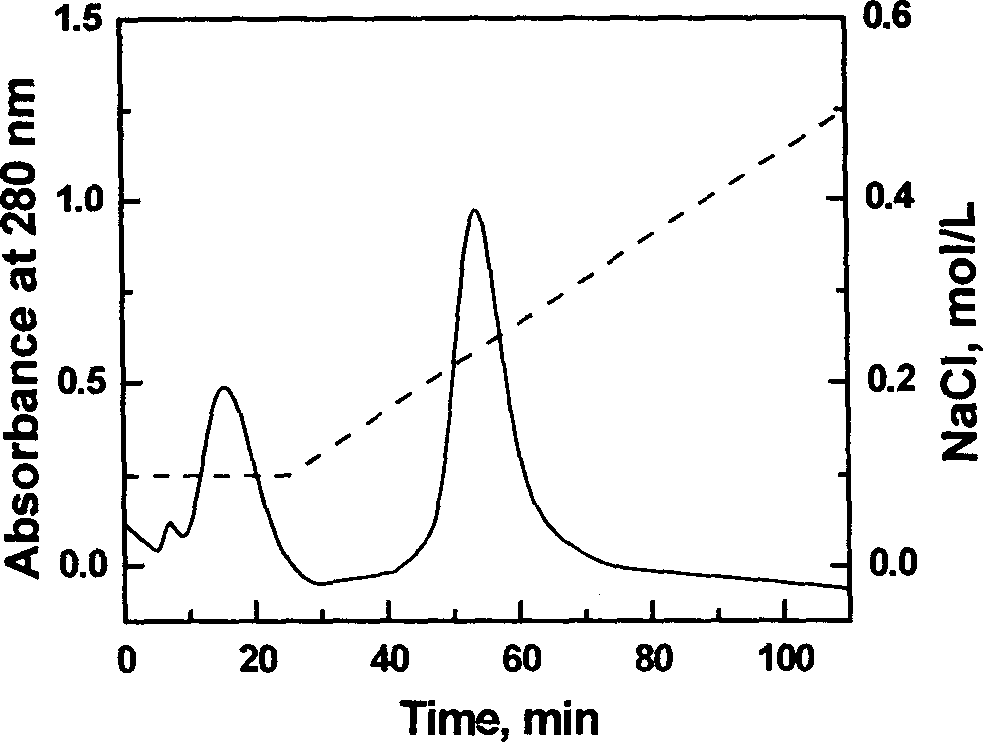 Blood substitute prepared by using hematoglobin-human seralbumin conjugate and its preparation method