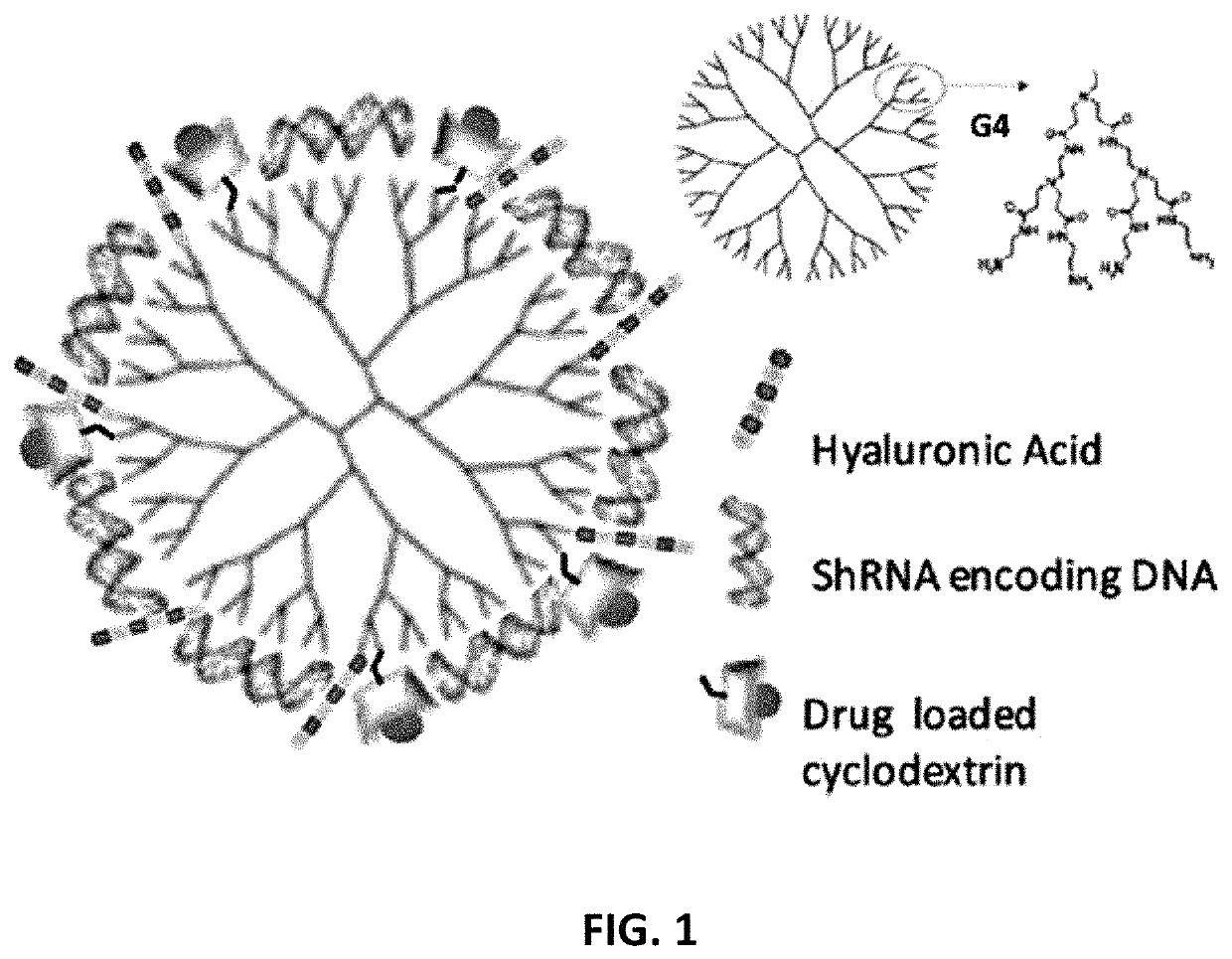 Method of delivering genes and drugs to a posterior segment of an eye