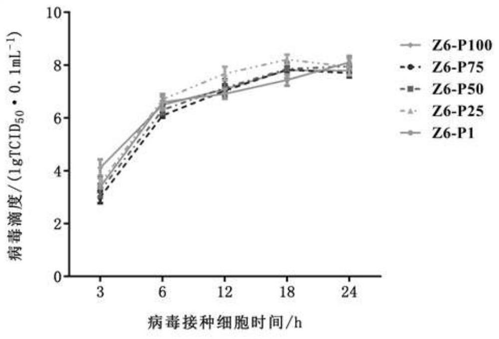 Bovine viral diarrhea virus low virulent strain and application thereof