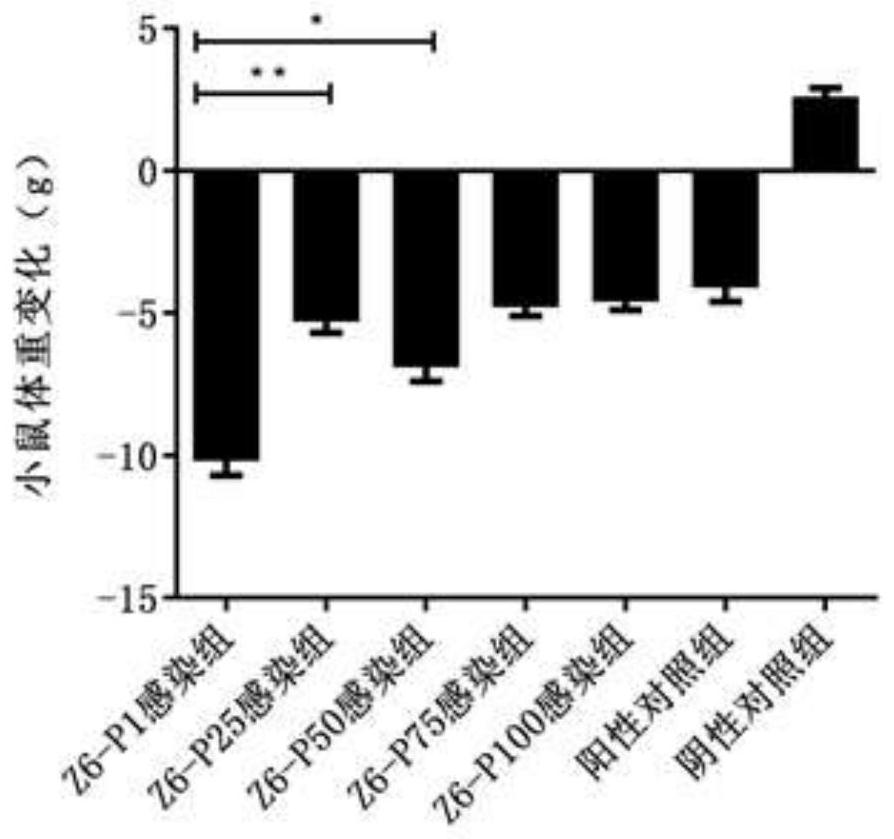 Bovine viral diarrhea virus low virulent strain and application thereof