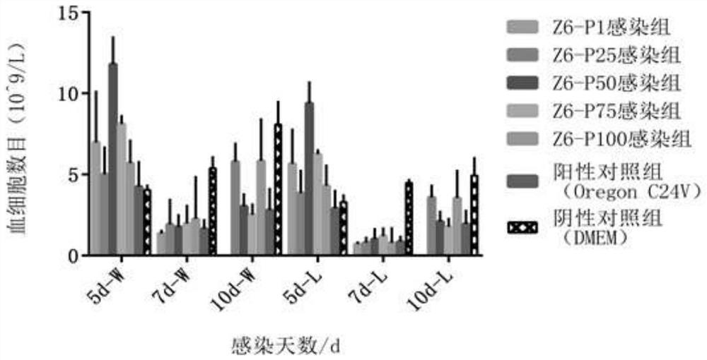 Bovine viral diarrhea virus low virulent strain and application thereof