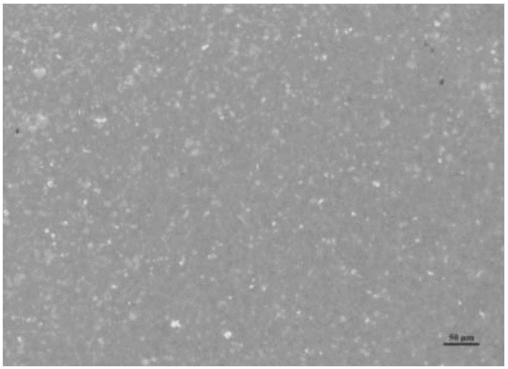 Method for preparing two-dimensional nanomaterial film on basis of liquid phase method