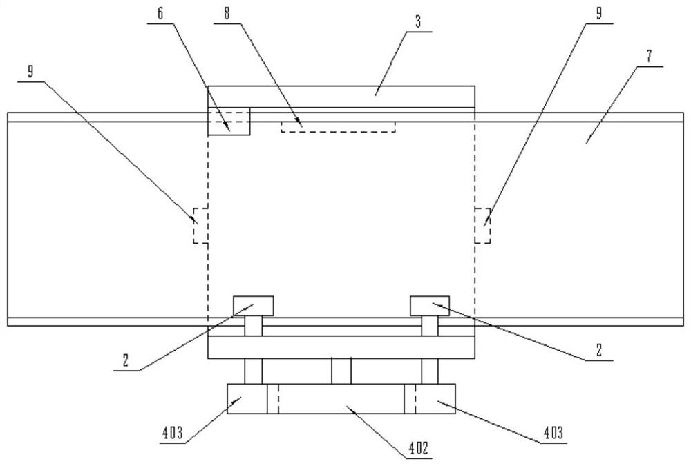 Infrared hanging rail inspection device for hog house