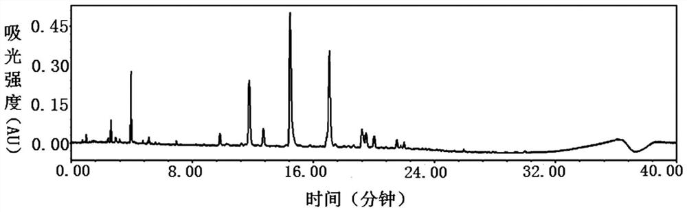 Salvia miltiorrhiza root extract as well as preparation method and application thereof