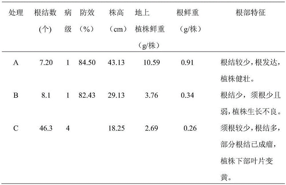 Preparation for prevention and treatment of tobacco and tomato meloidogyne spp. and application thereof