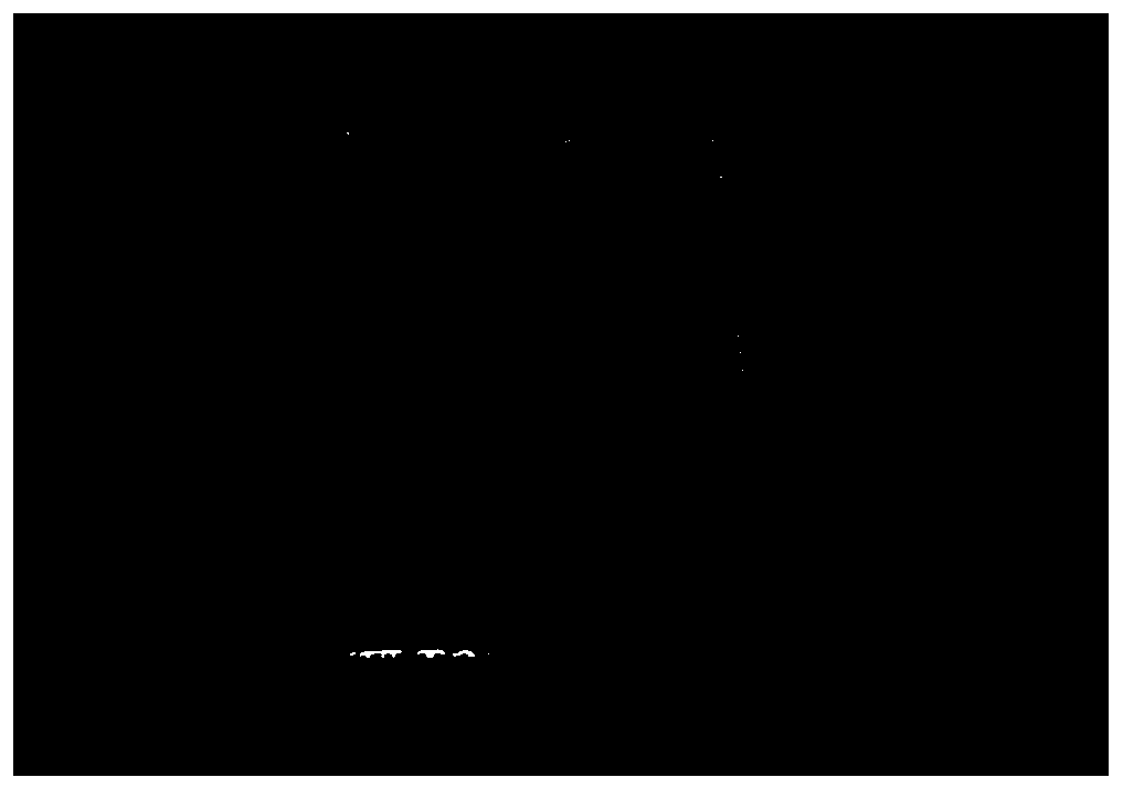 Cellulose/nano inorganic particle composite pigment, preparation method therefor and application of cellulose/nano inorganic particle composite pigment