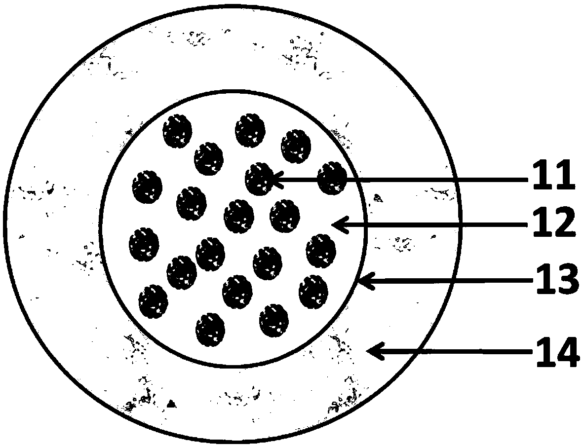 Microcapsule structure containing active oxygen shell powder composition