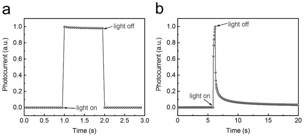 Organic vertical diode integrated with transient light detection and light synapse functions and application thereof