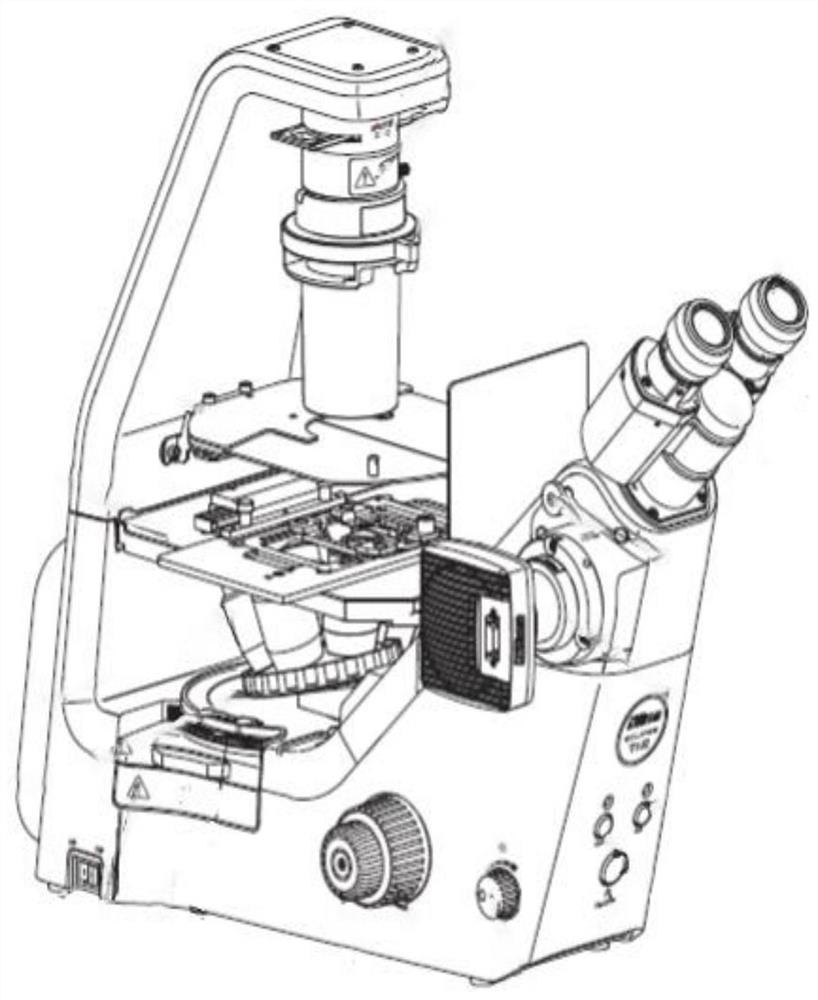 Microalgae identification method based on improved YOLOv3