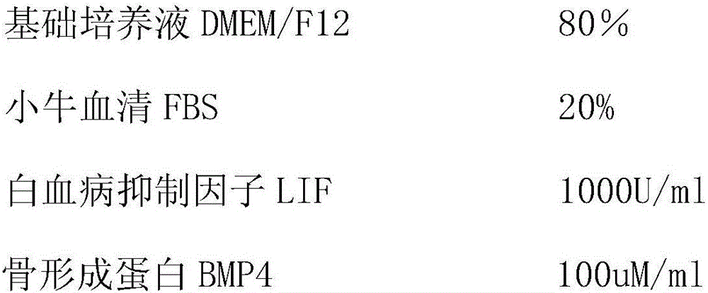 Stem cell based mammal artificial embryo constructing and animal cloning breeding method and model thereof