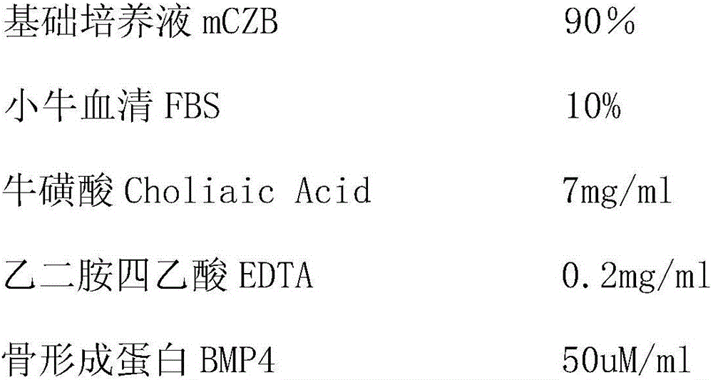 Stem cell based mammal artificial embryo constructing and animal cloning breeding method and model thereof