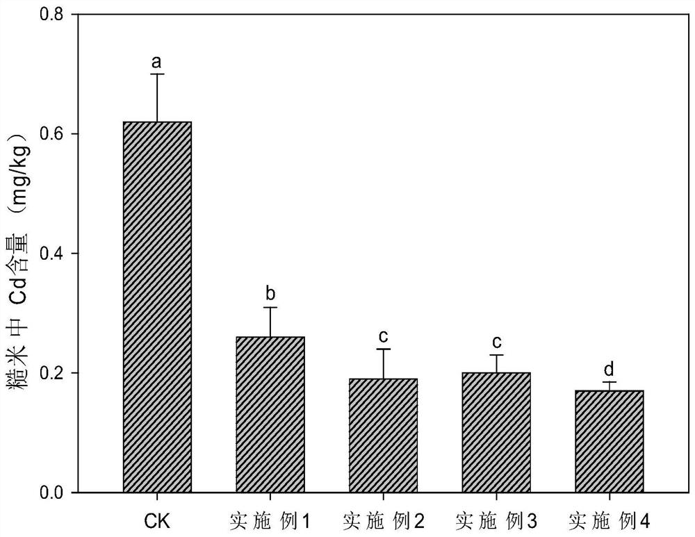 Humic acid-containing foliar fertilizer based on biogas slurry as well as preparation method and application thereof