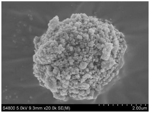 Single-cell bio-based highly hydrophobic micron powder material and preparation method thereof