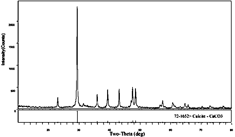 Method for mineralizing and reinforcing clay roadbed by using carbon fixation bacteria