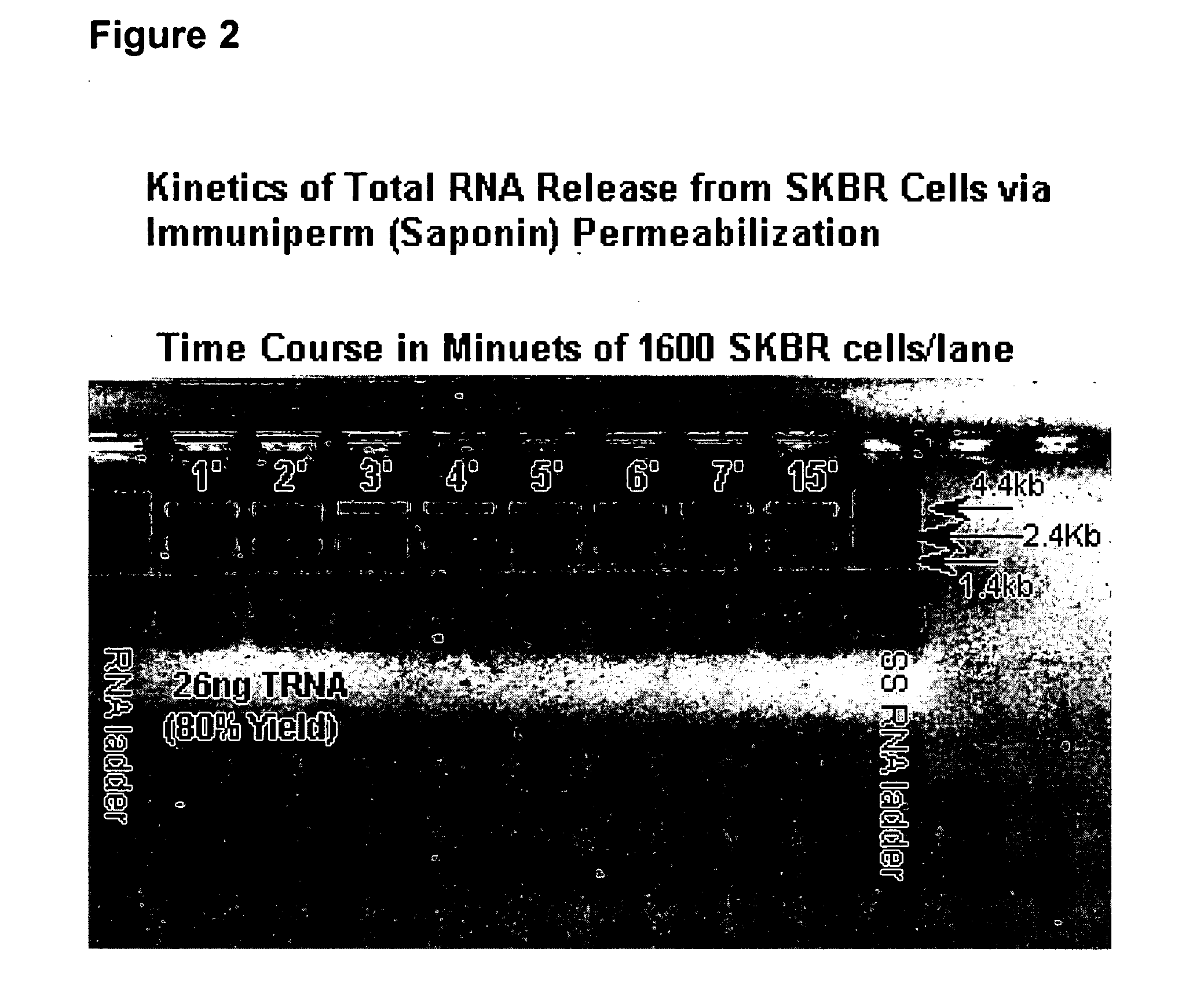 Multiparameter analysis of comprehensive nucleic acids and morphological features on the same sample