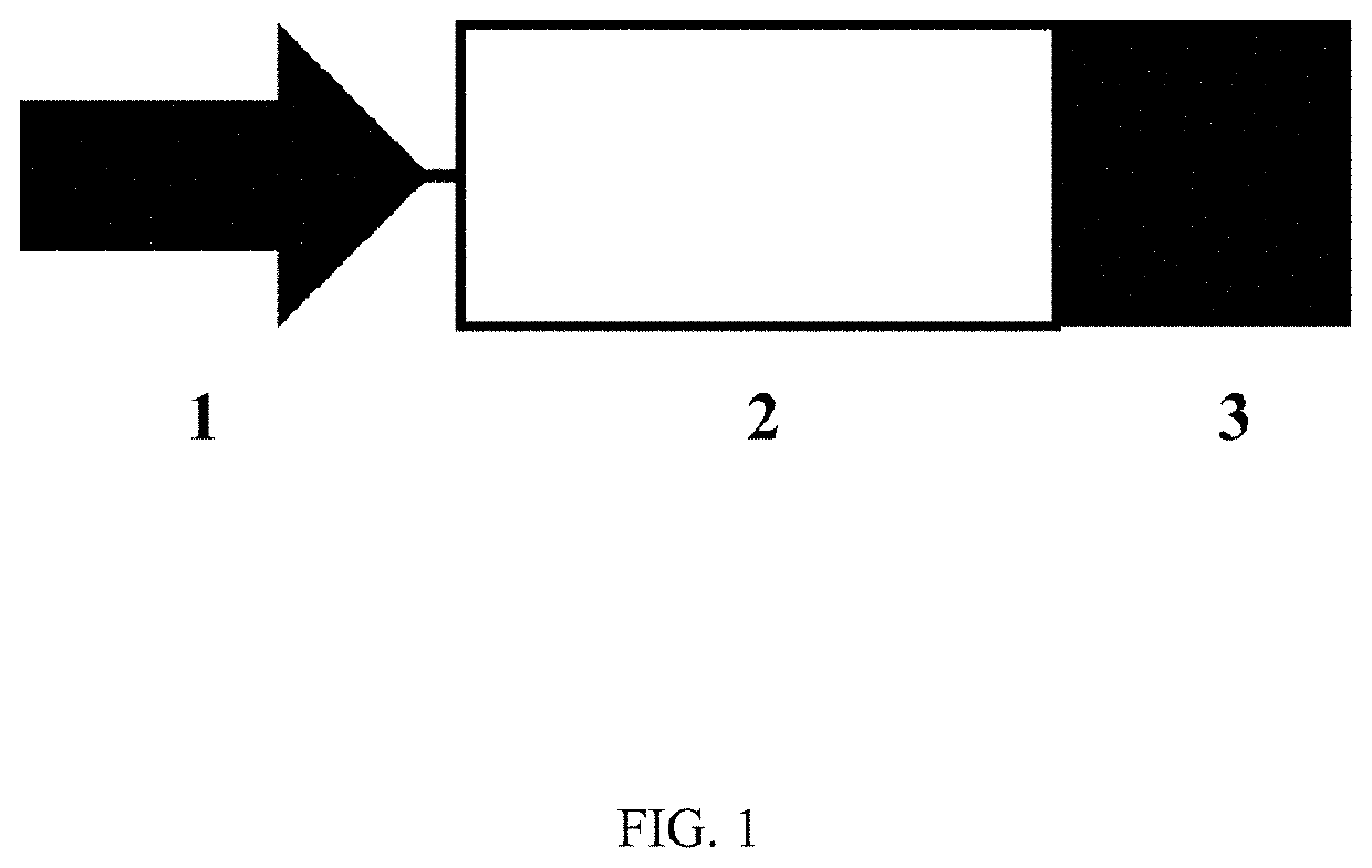 Pharmaceutical agent for inducing specific immunity against sars-cov-2