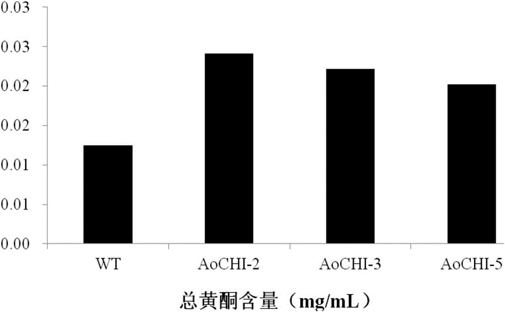 Chalcone isomerase gene of asparaguses, protein encoded by chalcone isomerase gene and application of chalcone isomerase gene