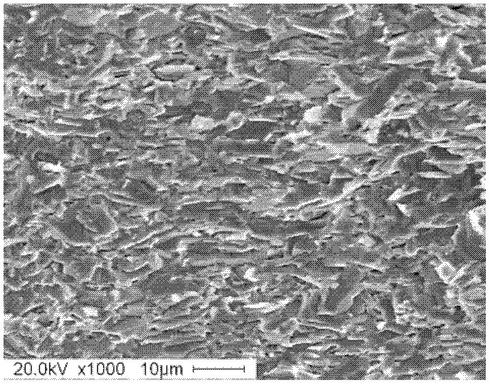 Method for preparing texturing boride super-high-temperature ceramic