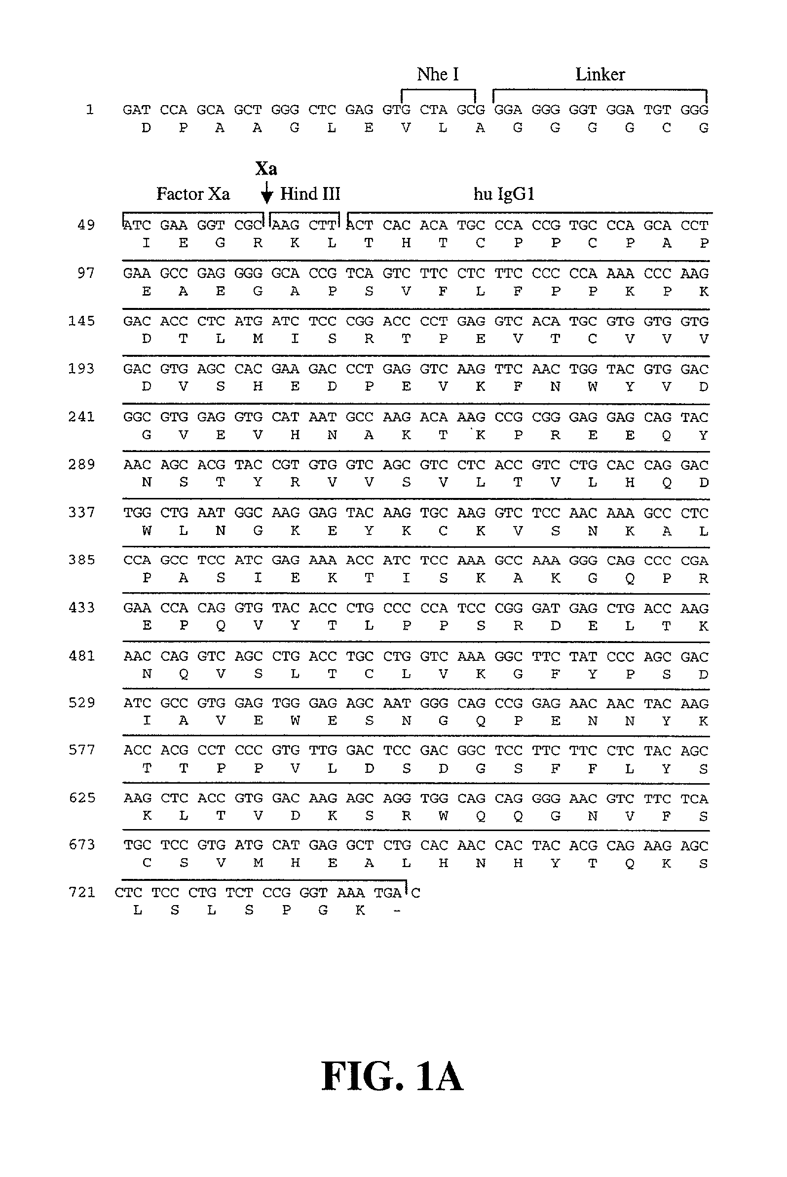 Molecular antigen array