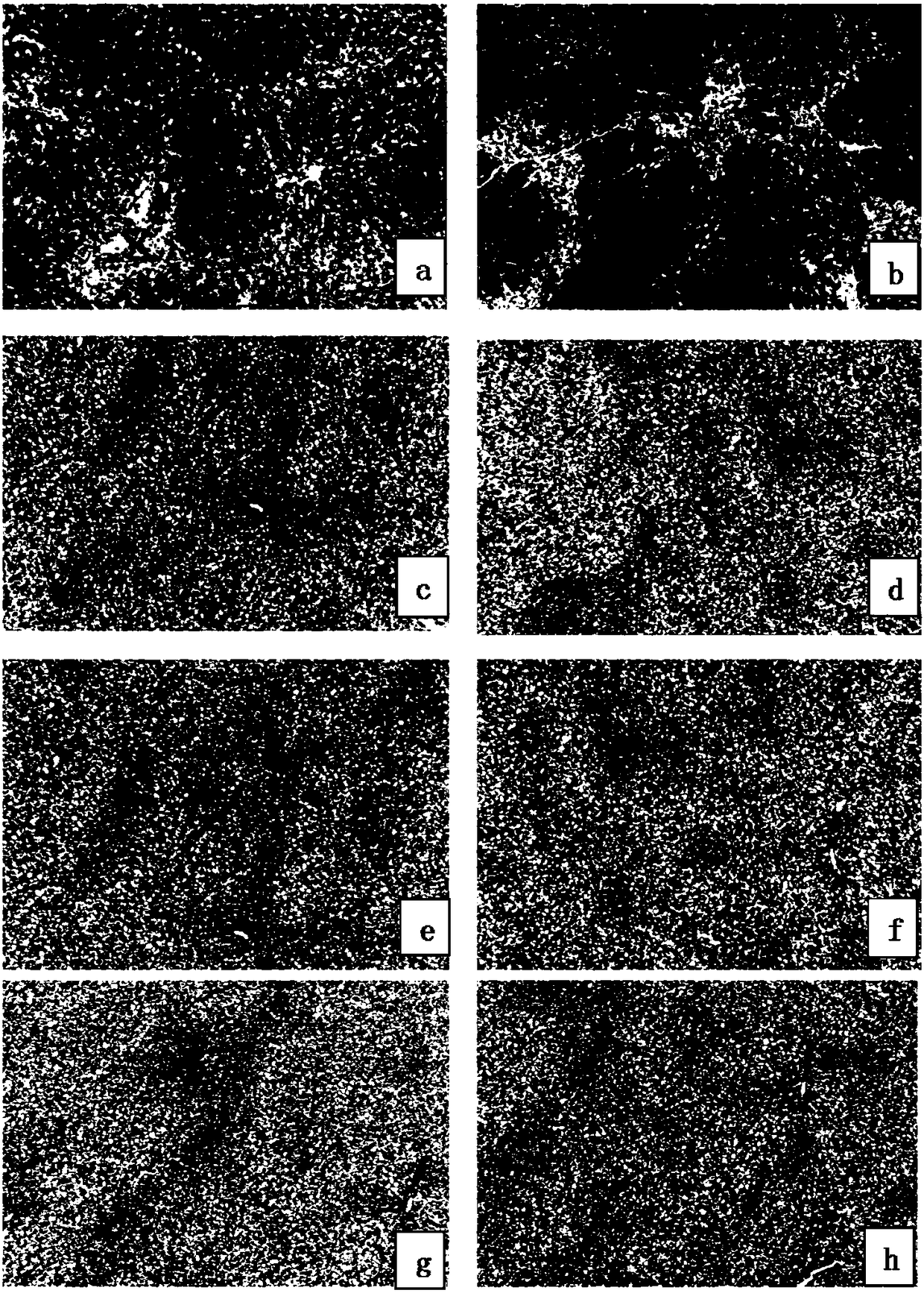 Composition comprising butyric acid compound and application of composition