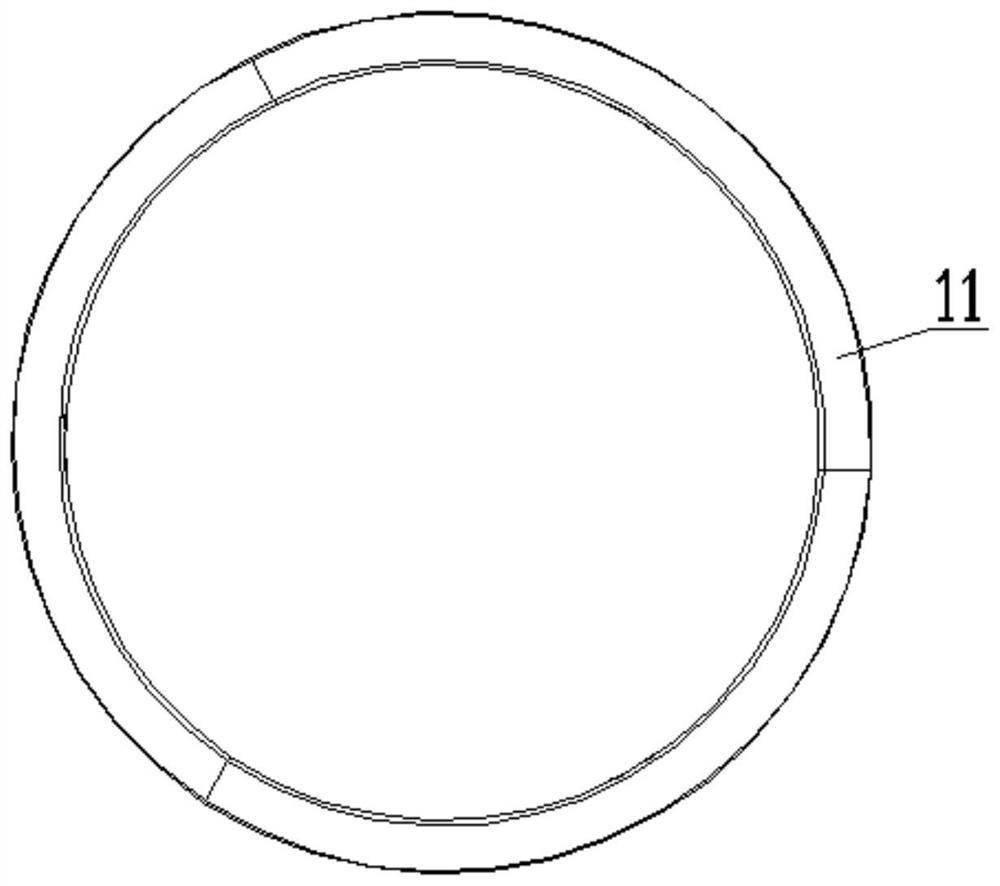 Piston ring and piston assembly