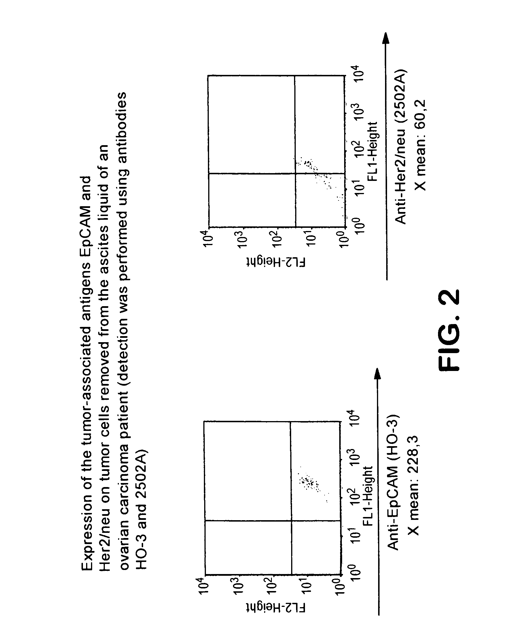 Use of trifunctional bispecific and trispecific antibodies for the treatment of malignant ascites