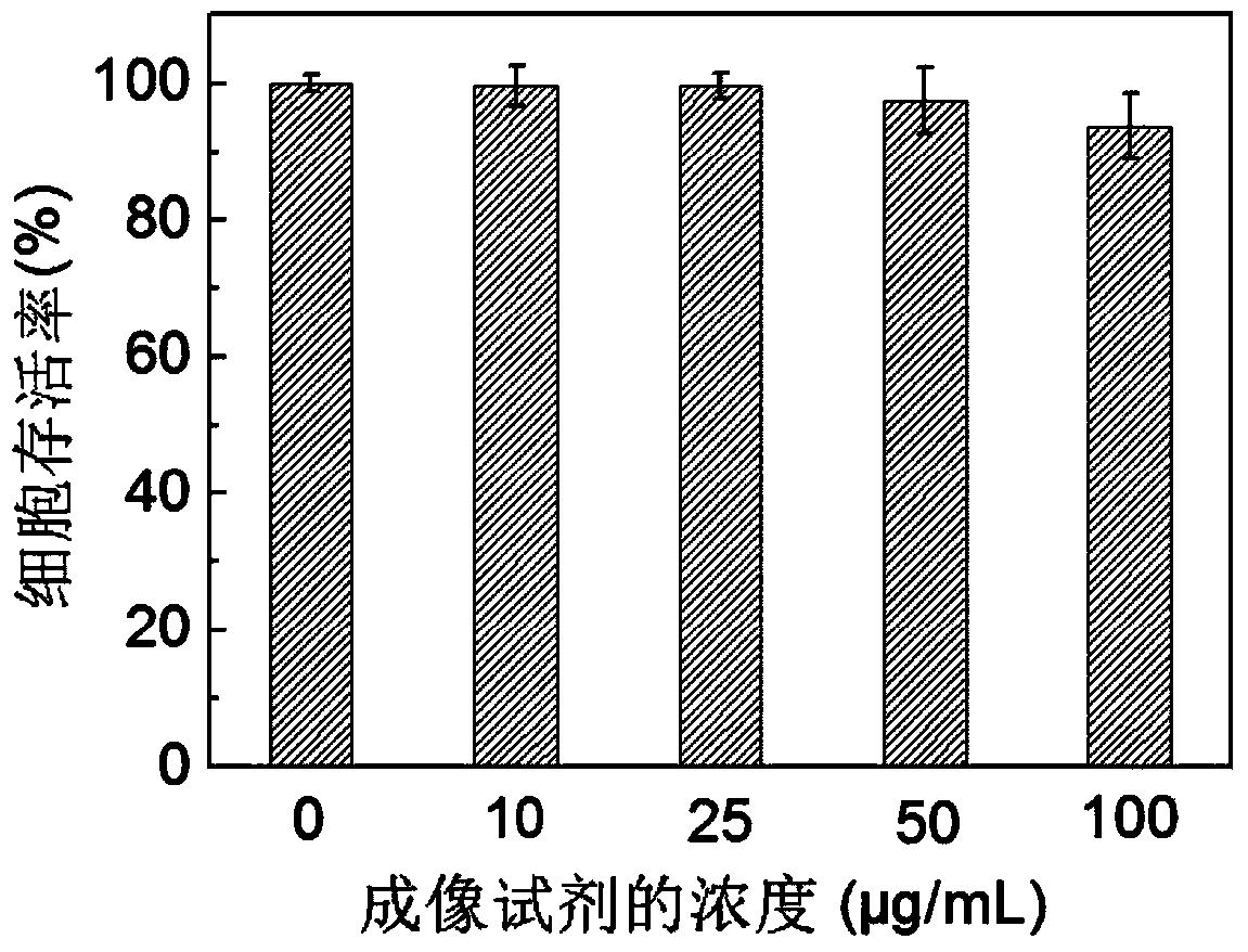 Fluorescence imaging reagent for cell membrane based on multi-site anchoring and preparation method thereof