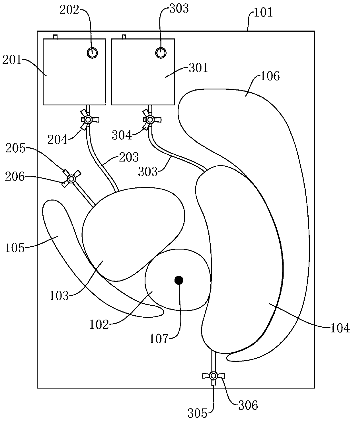 Demonstration and education system for male pelvic tumor patients