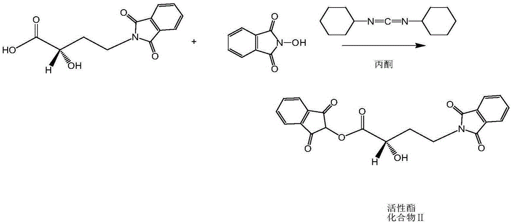 Synthetic method of environment-friendly amikacin