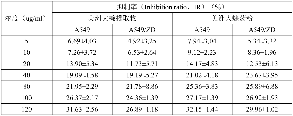 Combined medicine for treating non-small cell lung cancer