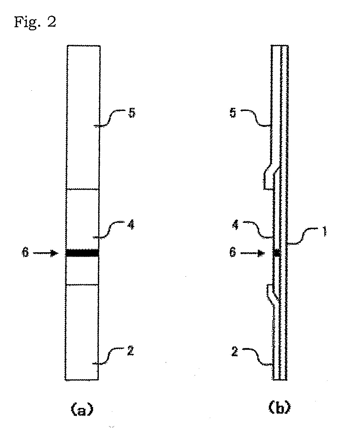 Method for measurement of sars virus nucleocapsid protein, reagent kit for the measurement, test device, monoclonal antibody directed against sars virus nucleocapsid protein, and hybridoma capable of producing the monoclonal antibody