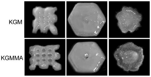 3D printing konjac glue gel stent, preparing method and application