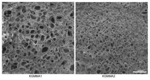 3D printing konjac glue gel stent, preparing method and application