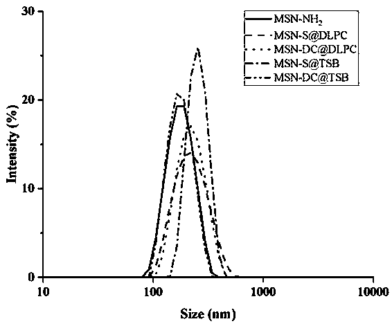 Oral administration system capable of promoting trans-mucus penetration of protein drug and preparation of oral administration system