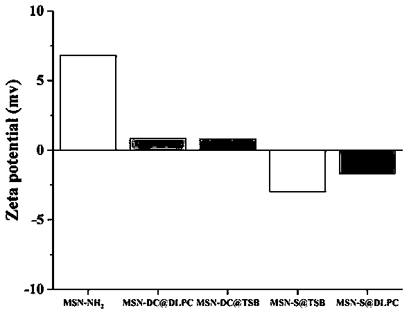 Oral administration system capable of promoting trans-mucus penetration of protein drug and preparation of oral administration system