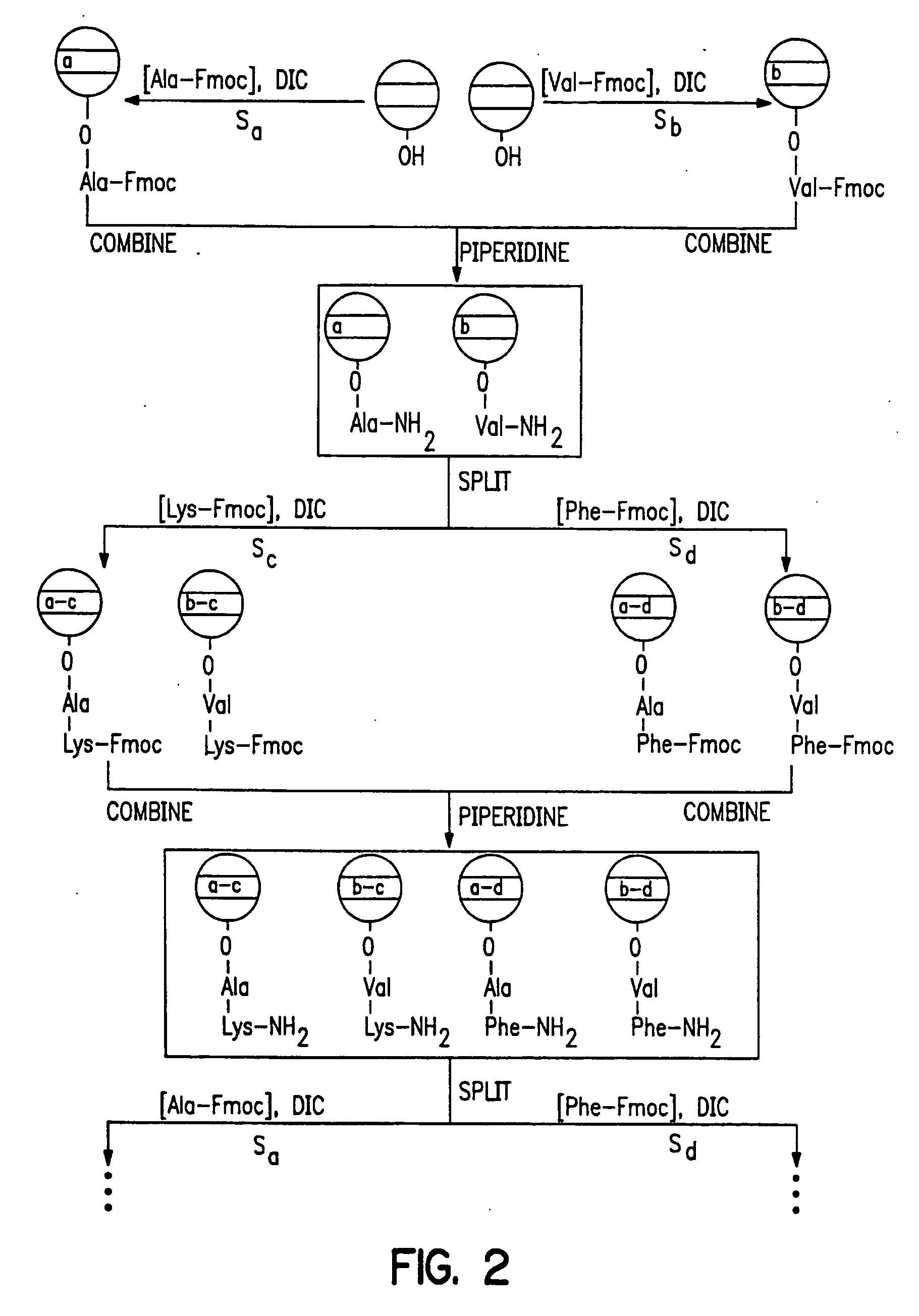 Encoded solid supports for biological processing and assays using same