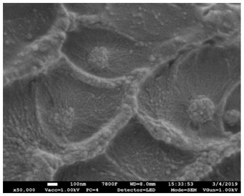 Preparation method and application of mixed matrix membrane containing MOF filler