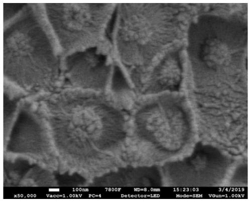 Preparation method and application of mixed matrix membrane containing MOF filler