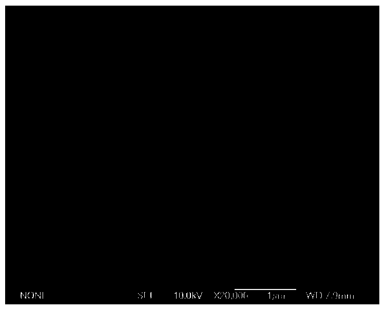 Polymer ice-coating-preventing coating containing modified nano particles and preparing method thereof